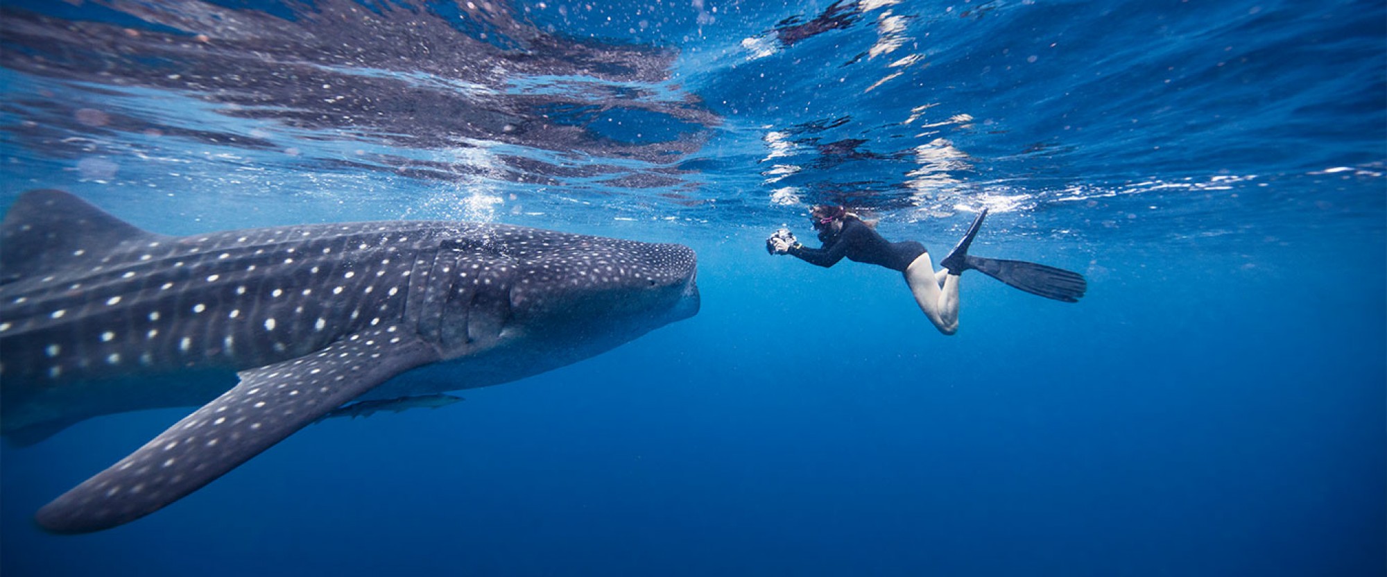 LOS MEJORES TOURS EN CANCÚN Y LA RIVIERA MAYA