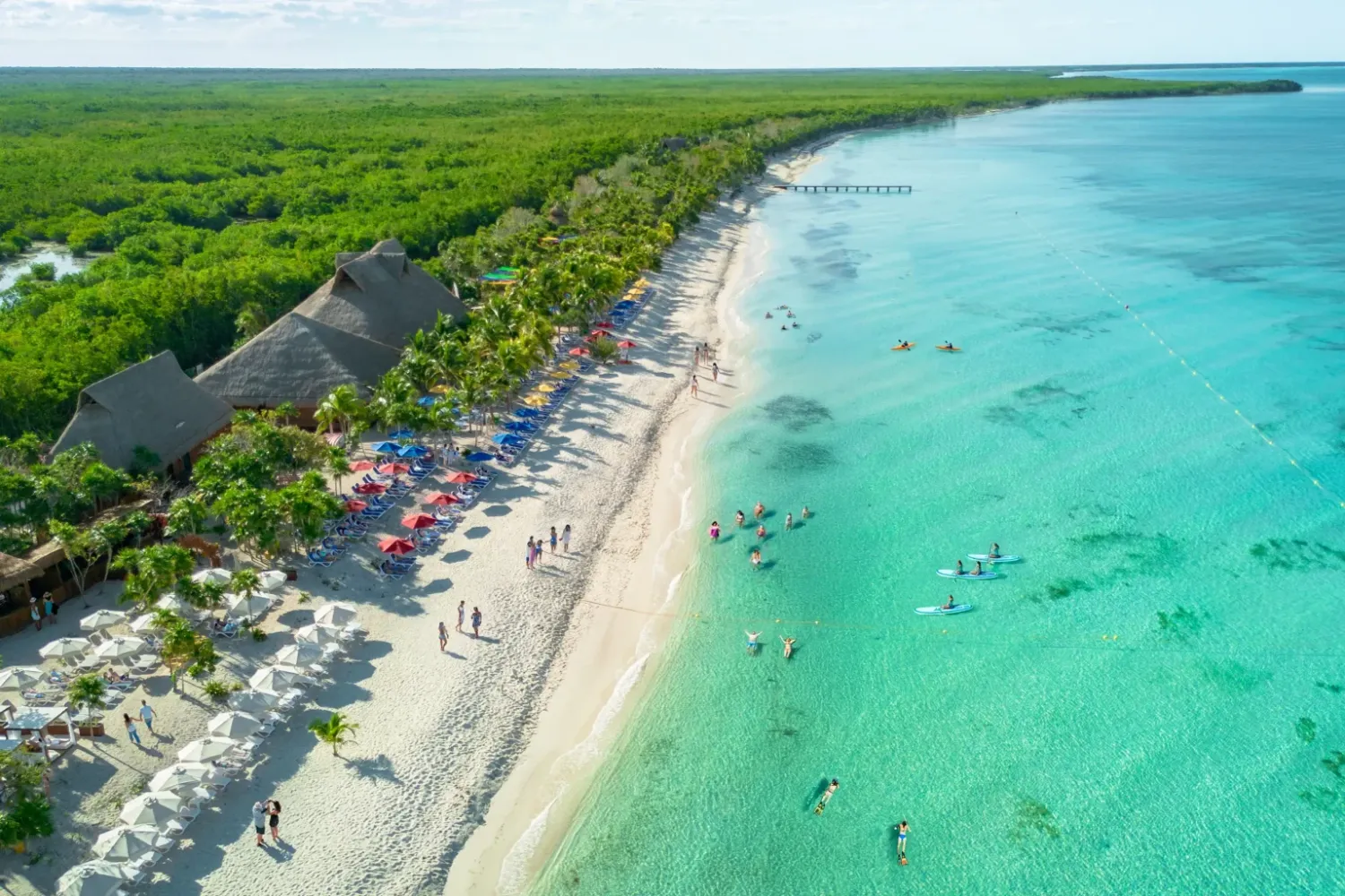 Discover Cozumel