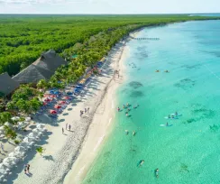 Discover Cozumel
