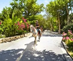 Horse Back Riding Tour  Special 2X1