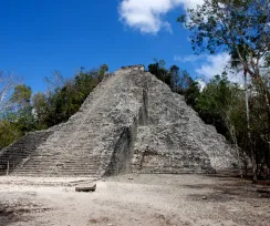 COBA SUNSET