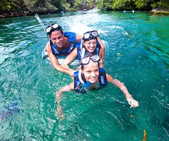 DOLPHINCLUSIVE NON SWIMMER
