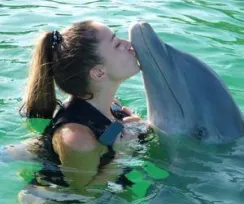 DOLPHIN DISCOVERY ENCOUNTER