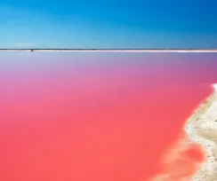Rio Lagartos - Las Coloradas (Pink lake)