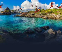 XCARET & XEL HA PACKAGE
