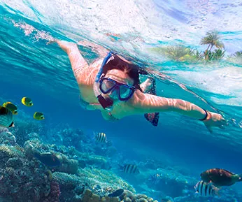 Reef Snorkel Cancun