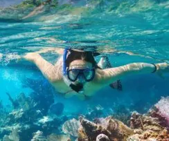REEF SNORKEL CANCUN
