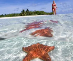 EL CIELO ( COZUMEL)