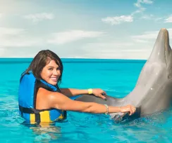 Dolphin Discovery Encounter Family Pack